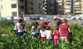 Immagine di Movimento per la Decrescita Felice