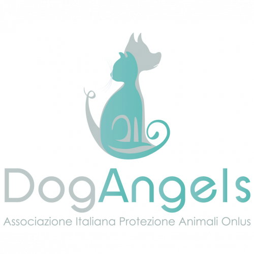 Italia non profit - Dog Angels Associazione Italiana Protezione Animali