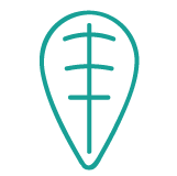 Italia non profit - Associazione Diastasi Italia Odv