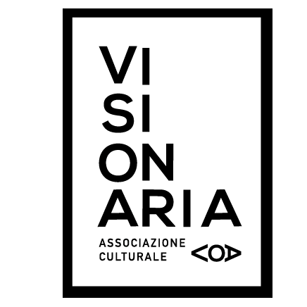 Italia non profit - Associazione Visionaria