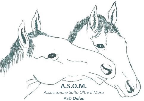 Italia non profit - Associazione Salto Oltre il Muro Asd - Centro studi relazione uomo cavallo Onlus