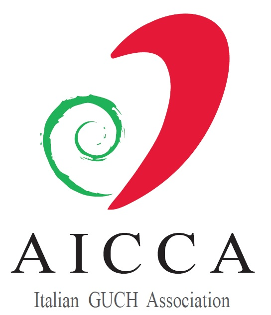 Italia non profit - AICCA