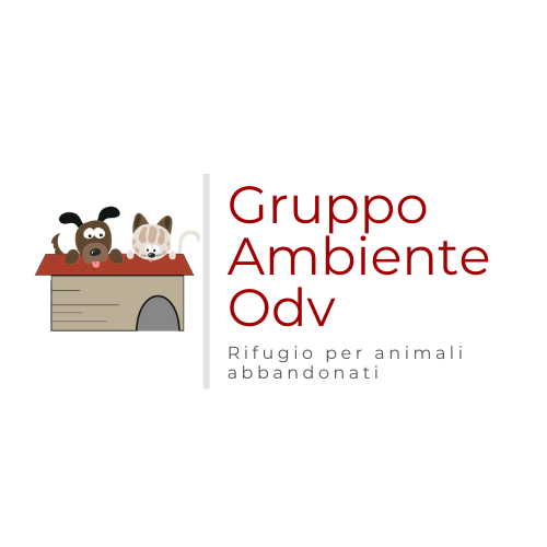 Italia non profit - Gruppo Ambiente Onlus