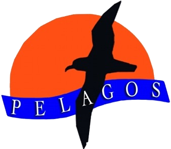 Italia non profit - PELAGOS