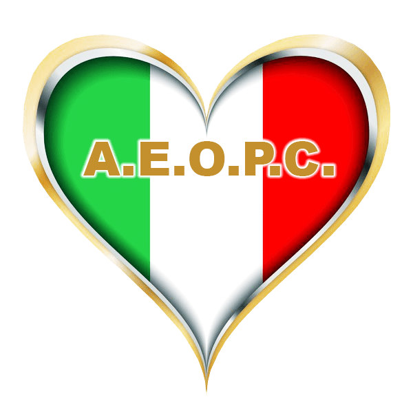 Italia non profit - Associazione Emergenze Operative Protezione Civile