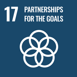 Obiettivo 17 — Partnership per gli obiettivi