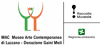 Logo di AMICI DEL MUSEO DI LUZZANA APS
