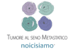 Logo di ASSOCIAZIONE NAZIONALE TUMORE AL SENO METASTATICO NOI CI SIAMO APS