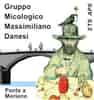 Logo di GRUPPO MICOLOGICO MASSIMILIANO DANESI DI PONTE A MORIANO APS
