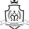 Logo di VENERABILE CONFRATERNITA DI MISERICORDIA DI MONTE SAN SAVINO ODV