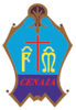 Logo di CONFRATERNITA DI MISERICORDIA DI CENAIA ODV