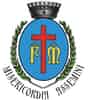 Logo di CONFRATERNITA DI MISERICORDIA DI ASSEMINI ODV