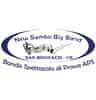 Logo di BANDA SPETTACOLO DI PROVA APS