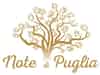 Logo di APS NOTE DI PUGLIA - ETS