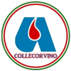 Logo di AVIS Comunale di COLLECORVINO ODV