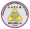 Logo di ASSOCIAZIONE VOLONTARI PROTEZIONE CIVILE MOLINELLA O.D.V.