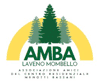 Logo di ASSOCIAZIONE AMICI DEL CENTRO ANZIANI MENOTTI BASSANI - ORGANIZZAZIONE DI VOLONTARIATO