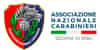 Logo di NUCLEO DI VOLONTARIATO DELL ASSOCIAZIONE NAZIONALE CARABINIERI DI ERBA ODV