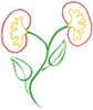 Logo di ASSOCIAZIONE NEFROLOGICA PONTINA ENTE DEL TERZO SETTORE