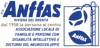 Logo di ANFFAS RIVIERA DEL BRENTA APS - ASSOCIAZIONE LOCALE DI FAMIGLIE E PERSONE CON DISABILITA' INTELLETTIVA E DISTURBI DEL NEUROSVILUPPO