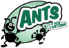 Logo di ANTS APS PER L'AUTISMO - ASSOCIAZIONE NUOVI TALENTI SPECIALI
