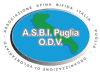Logo di ASBI PUGLIA - ODV (ASSOCIAZIONE SPINA BIFIDA ITALIA PUGLIA - ODV)