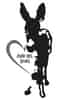 Logo di ASINI NEL CUORE A.P.S. ETS