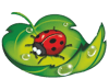 Logo di D.I.A.P.I.SOCIETA' COOPERATIVA SOCIALE