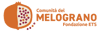 Logo di FONDAZIONE COMUNITA' DEL MELOGRANO ETS
