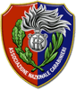 Logo di NUCLEO VOLONTARIATO E DI PROTEZIONE CIVILE ASSOCIAZIONE NAZIONALE CARABINIERI BITONTO - ODV