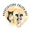 Logo di CALICO - ODV