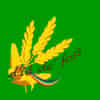 Logo di DLA' DE' FOSS (AL DI LA' DEL FOSSO) - APS