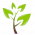 Logo di IL BOSCO - ODV