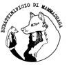Logo di BURATTINIFICIO DI MAMMADRAGA APS