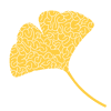 Logo di BILOBA ETS