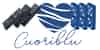 Logo di ASSOCIAZIONE CUORI BLU
