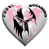 Logo di ASSOCIAZIONE CUORI ROSANERO NEL MONDO