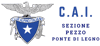 Logo di CLUB ALPINO ITALIANO - SEZIONE DI PEZZO PONTE DI LEGNO - APS - ETS