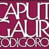 Logo di ASSOCIAZIONE CULTURALE CAPUT GAURI-APS