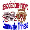 Logo di ASSOCIAZIONE NUOVO CARNEVALE TRINESE ODV