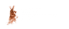 Logo di CENTRO ATTIVITA' TURISTICA ODV