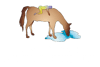 Logo di CAVALLI PER TUTTI O.D.V.