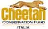 Logo di CHEETAH CONSERVATION FUND ITALIA