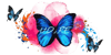 Logo di CENTRI ANTIVIOLENZA U.D.I.RE APS