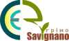 Logo di C.E.R. SAVIGNANO IRPINO - ENTE DEL TERZO SETTORE
