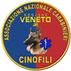 Logo di ASS. NAZIONALE CARABINIERI ISPETTORATO REGIONALE PER IL VENETO NUCLEO CINOFILO DA SOCCORSO ODV