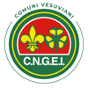 Logo di CNGEI SEZIONE SCOUT COMUNI VESUVIANI APS