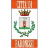 Logo di GRUPPO COMUNALE DI VOLONTARIATO DI PROTEZIONE CIVILE DI BARONISSI