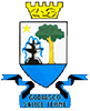 Logo di GRUPPO COMUNALE DI VOLONTARIATO DI PROTEZIONE CIVILE DEL COMUNE DI GODIASCO SALICE TERME