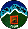 Logo di CORO BAITONE - ASSOCIAZIONE DI PROMOZIONE SOCIALE O APS